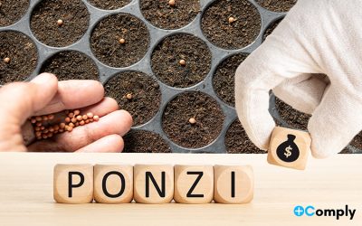Estafas Ponzi Mediante Empresas Fachada que Comercializan Materias Primas